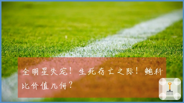 全明星失宠！生死存亡之际！鲍科比价值几何？
