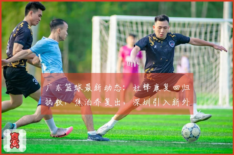广东篮球最新动态：杜锋康复回归执教，焦泊乔复出，深圳引入新外援